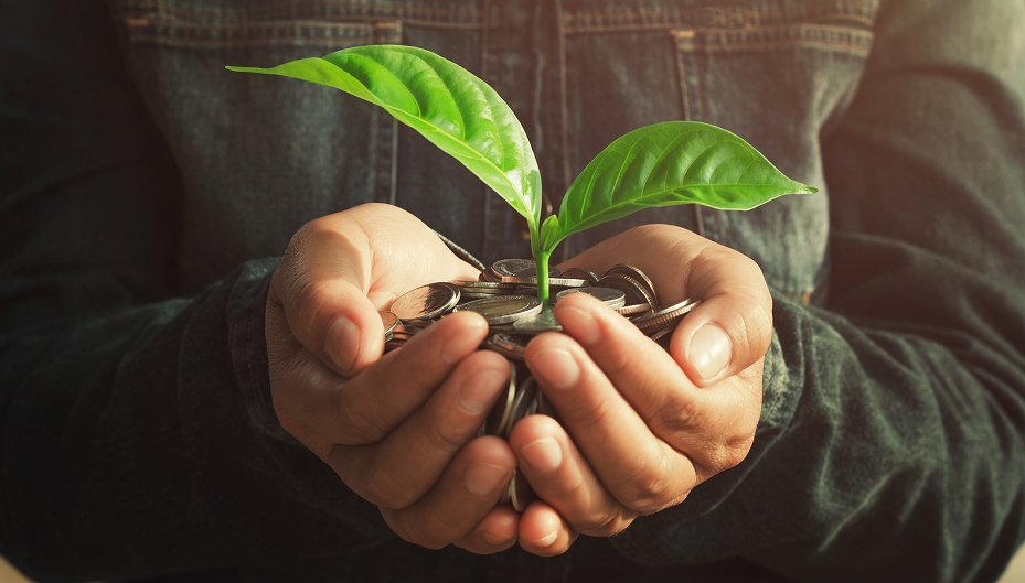Mãos segurando moedas com uma planta crescendo, simbolizando investimento sustentável e retorno financeiro com impacto ambiental positivo