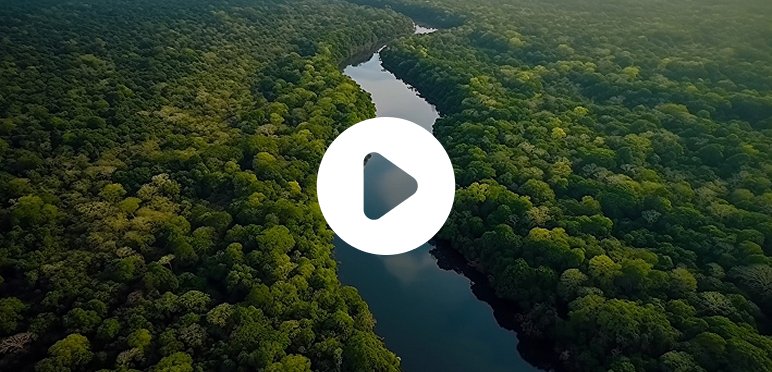 Thumbnail do vídeo institucional da EcoAmazon