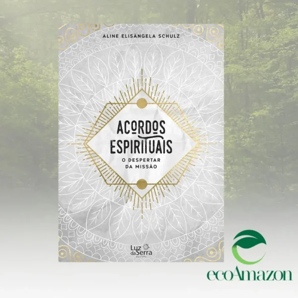 ACORDOS ESPIRITUAIS: O DESPERTAR DA MISSÃO