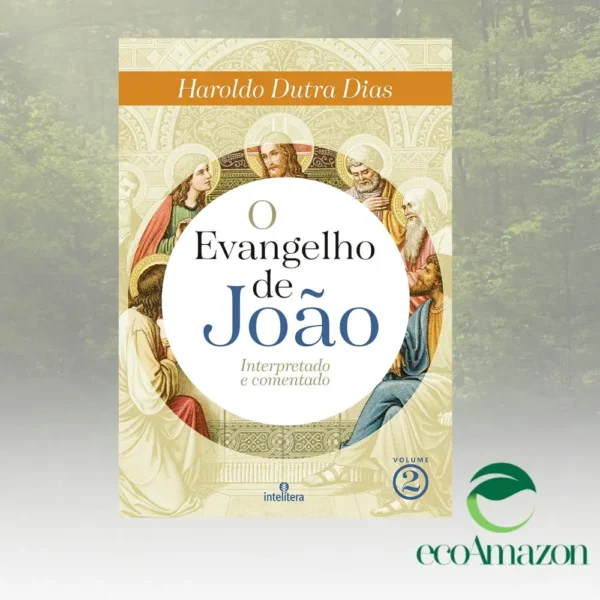 O EVANGELHO DE JOÃO VOLUME 2