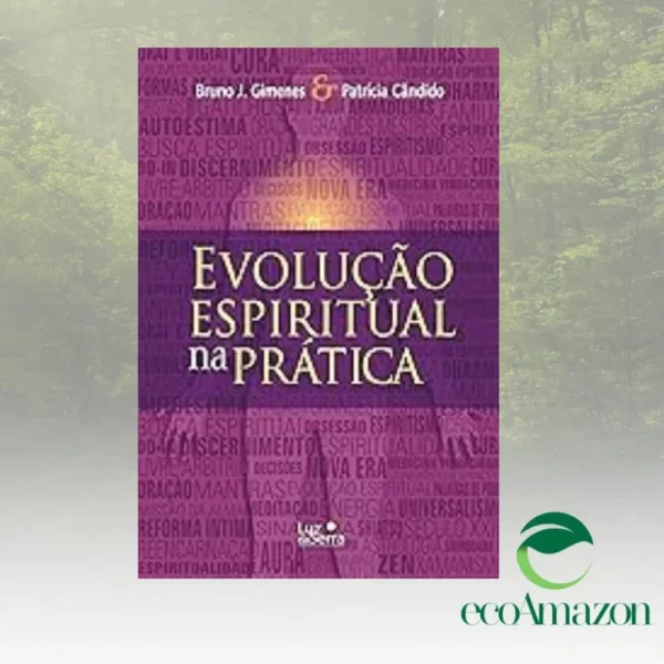 EVOLUÇÃO ESPIRITUAL NA PRÁTICA